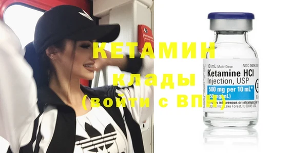 индика Алексин