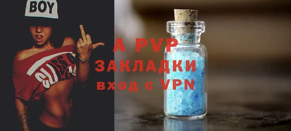 индика Алексин