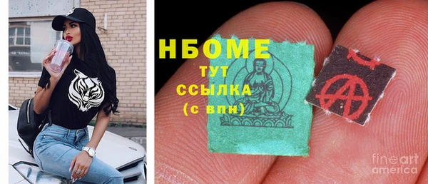 индика Алексин