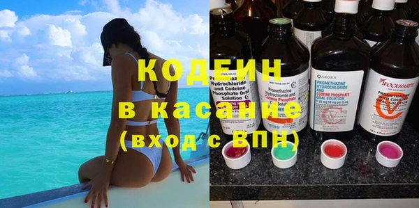 индика Алексин