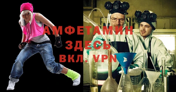 индика Алексин