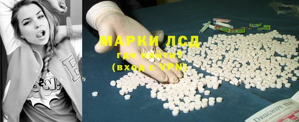 индика Алексин