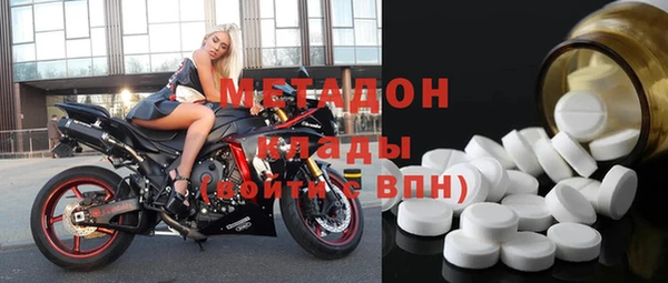 индика Алексин