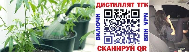 ТГК жижа  где найти   мега зеркало  Амурск 