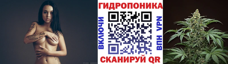 где найти наркотики  мега ссылка  Бошки марихуана тримм  Амурск 
